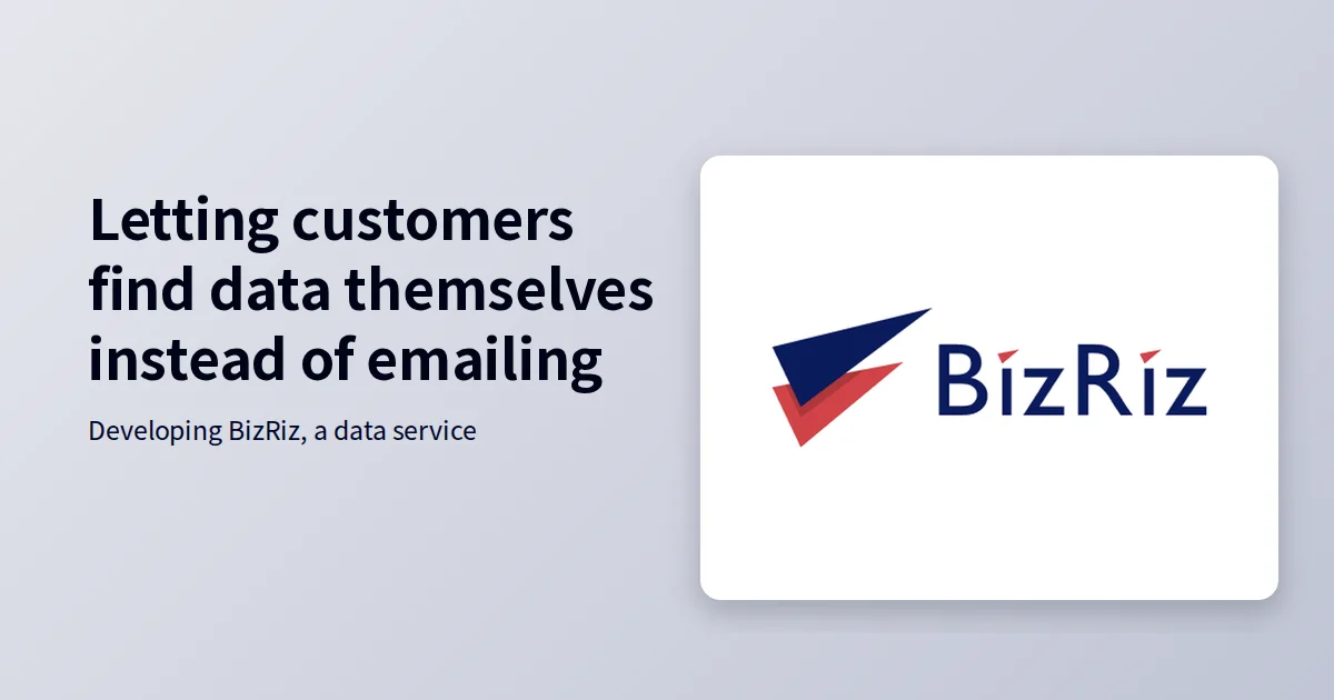 BizRiz: Turning Data Provision into Customer Self-Search